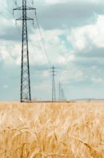 Poupar energia em Portugal: desvendar o ajuste MIBEL e o custo do gás natural