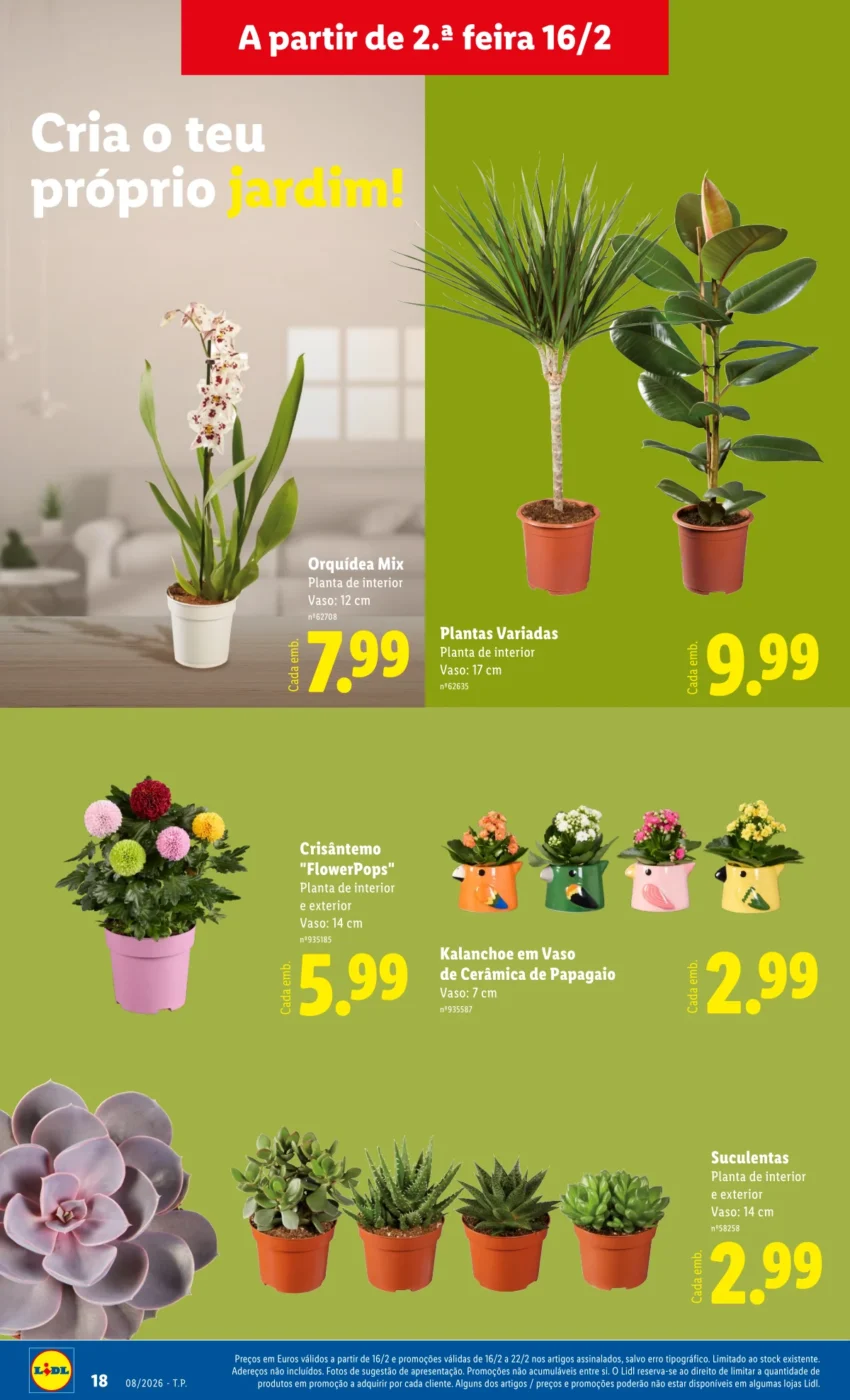 Página do Antevisão Folheto LiDL Novidades
