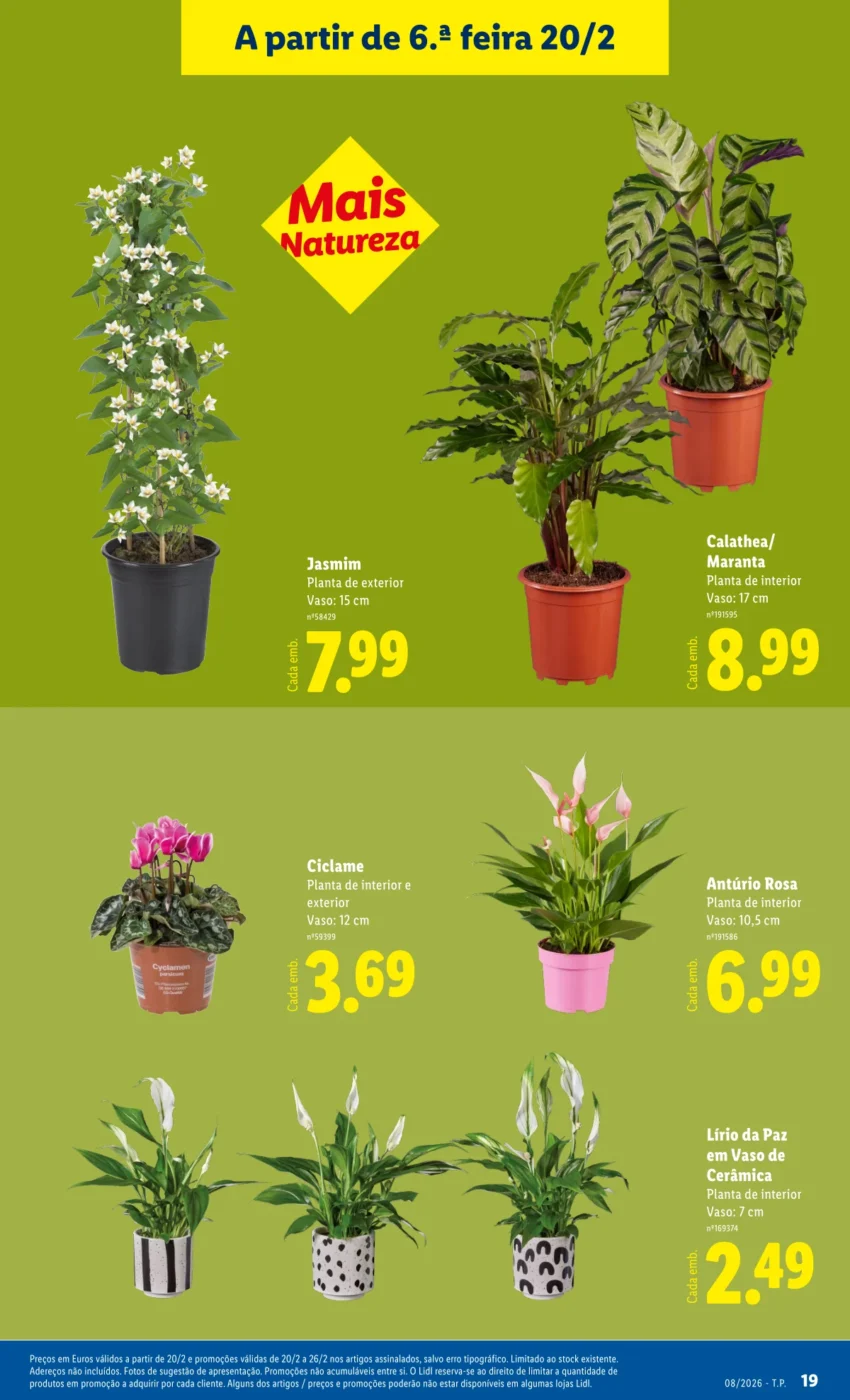 Página do Antevisão Folheto LiDL Novidades