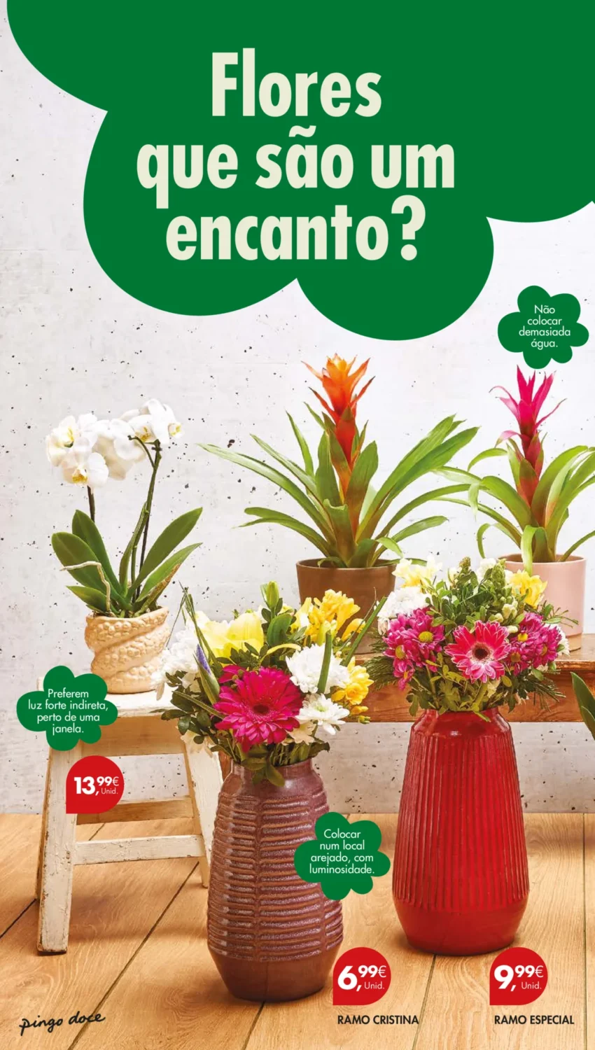 Página do Antevisão Folheto Pingo Doce