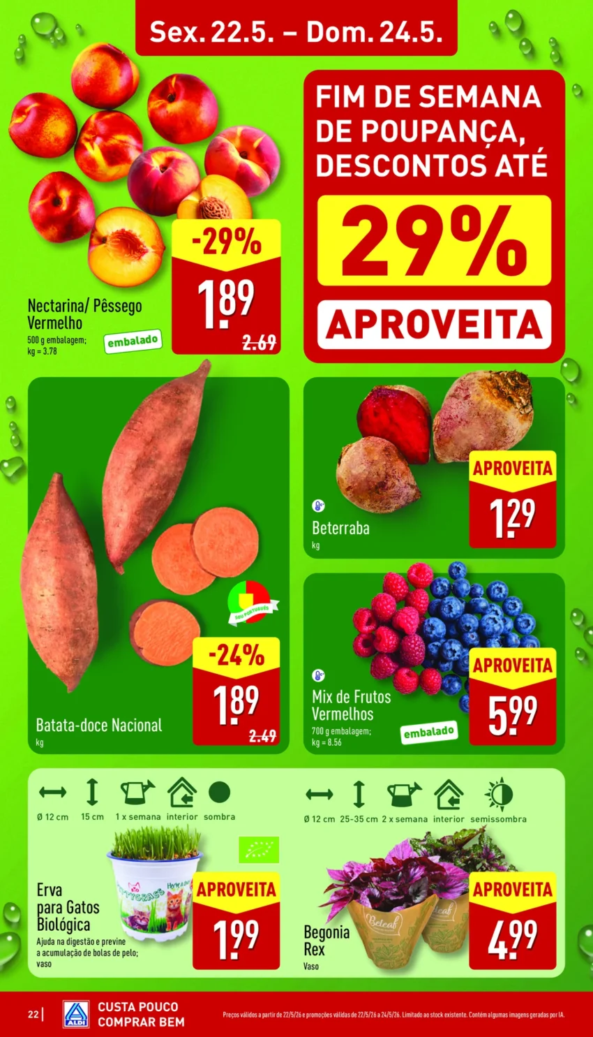 Página 22 do Antevisão Folheto ALDI