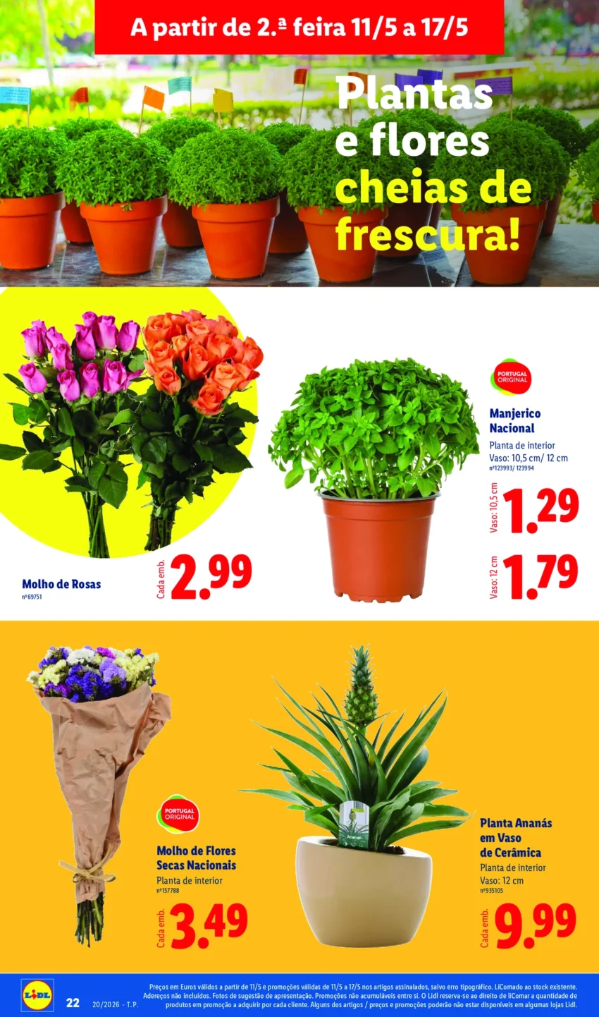 Página 22 do Antevisão Folheto LiDL Promoções