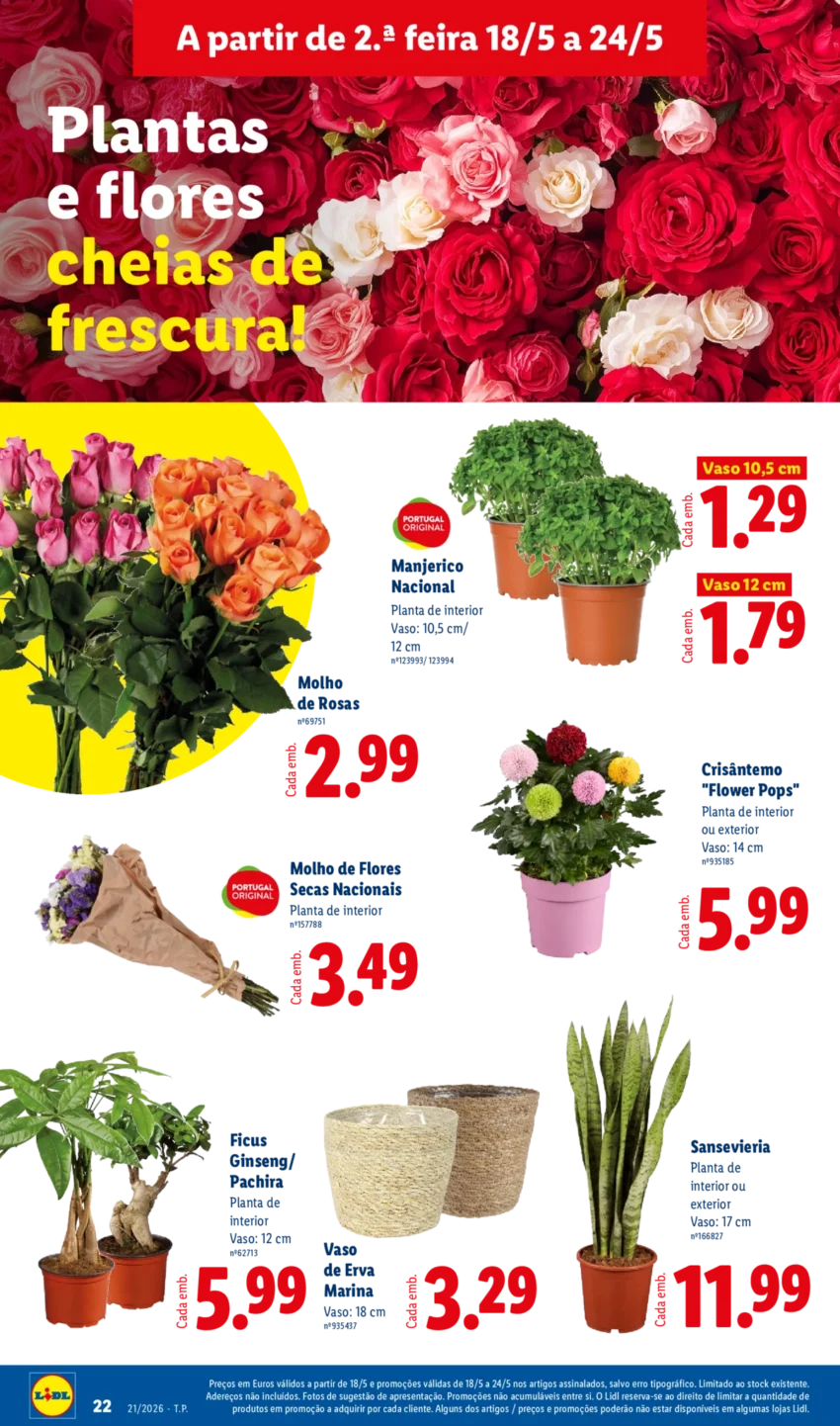 Página 22 do Antevisão Folheto LiDL Promoções