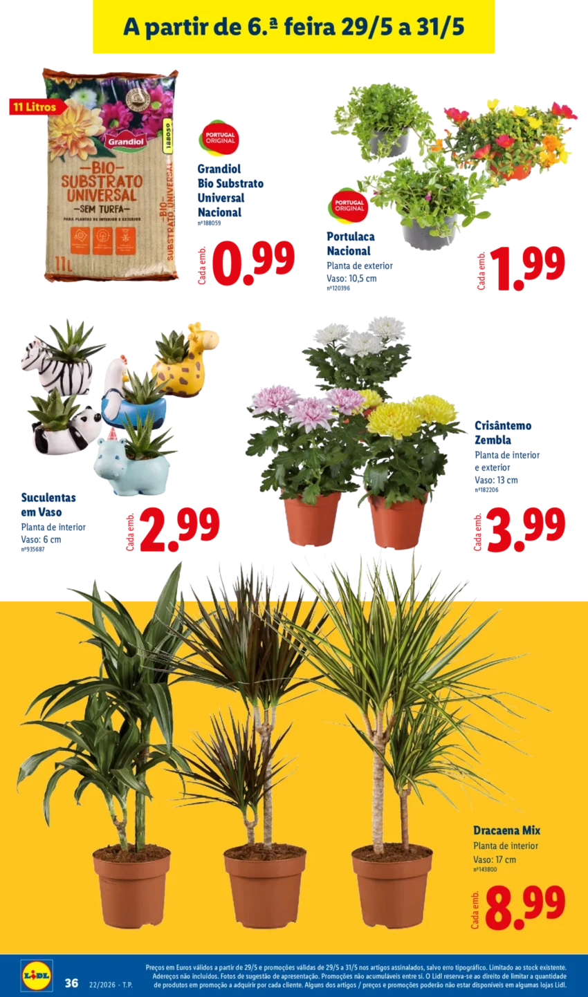 Página 36 do Antevisão Folheto LiDL Promoções