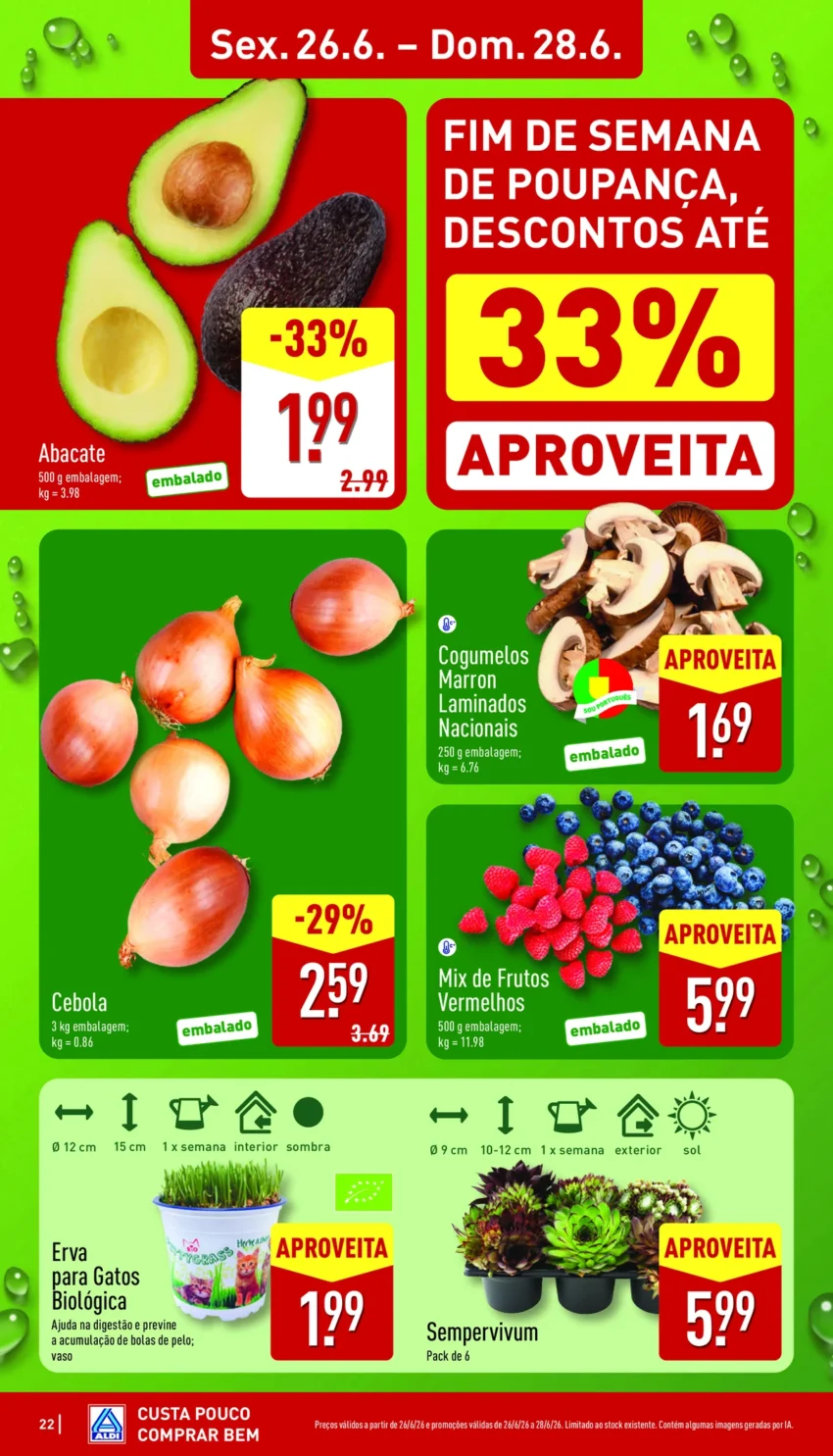 Página 22 do Antevisão Folheto ALDI