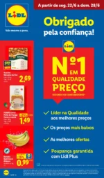 Antevisão Folheto Lidl Promoções (22 a 28 junho)
