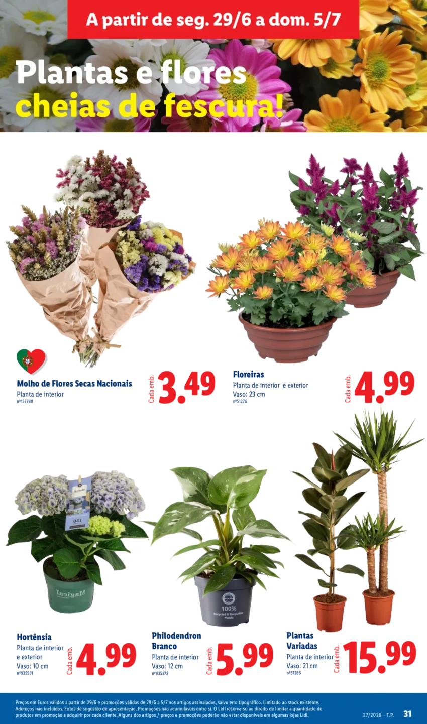 Página 31 do Antevisão Folheto LiDL Promoções