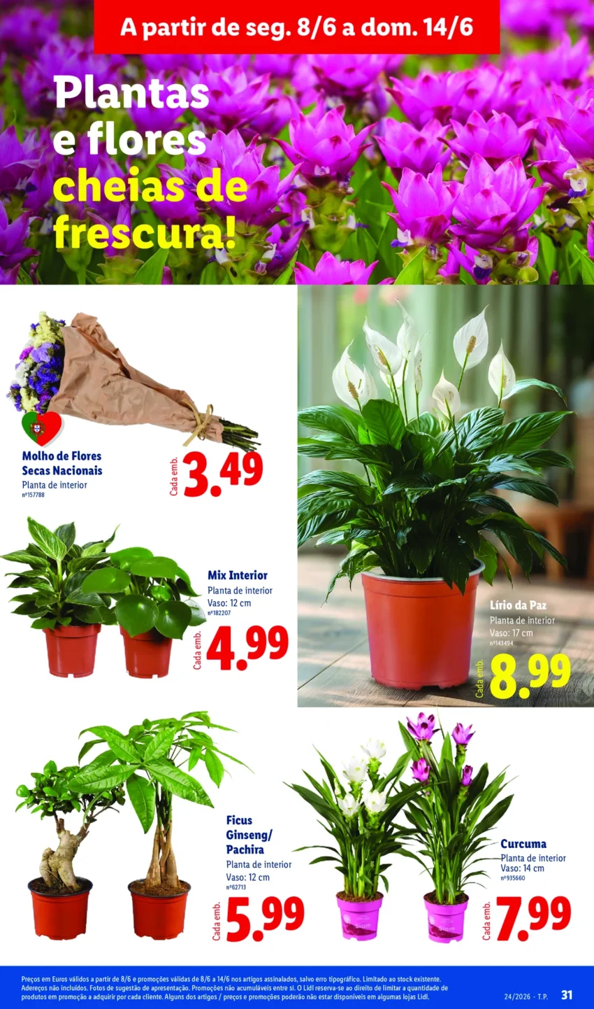 Página 31 do Antevisão Folheto LiDL Promoções
