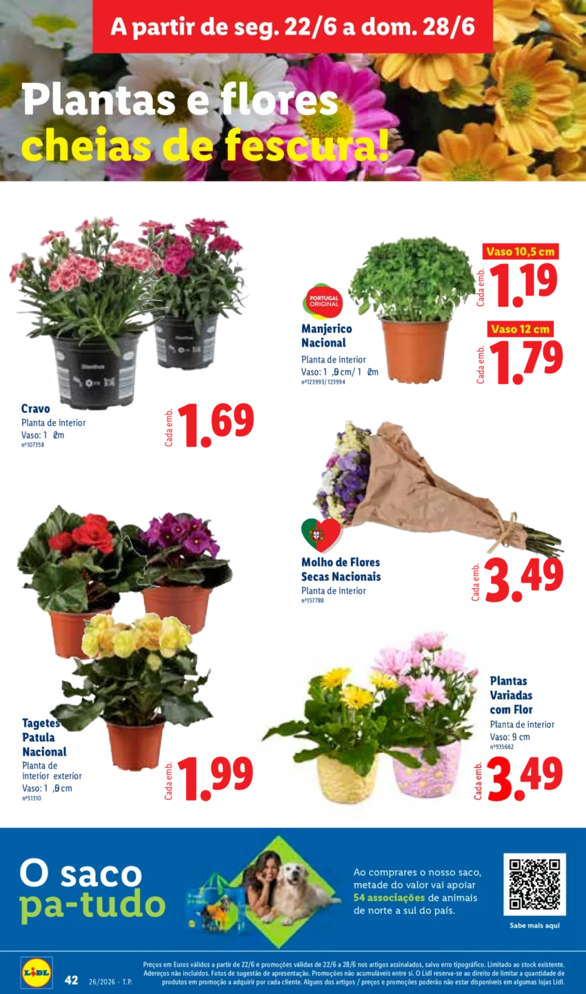 Página 42 do Antevisão Folheto LiDL Promoções