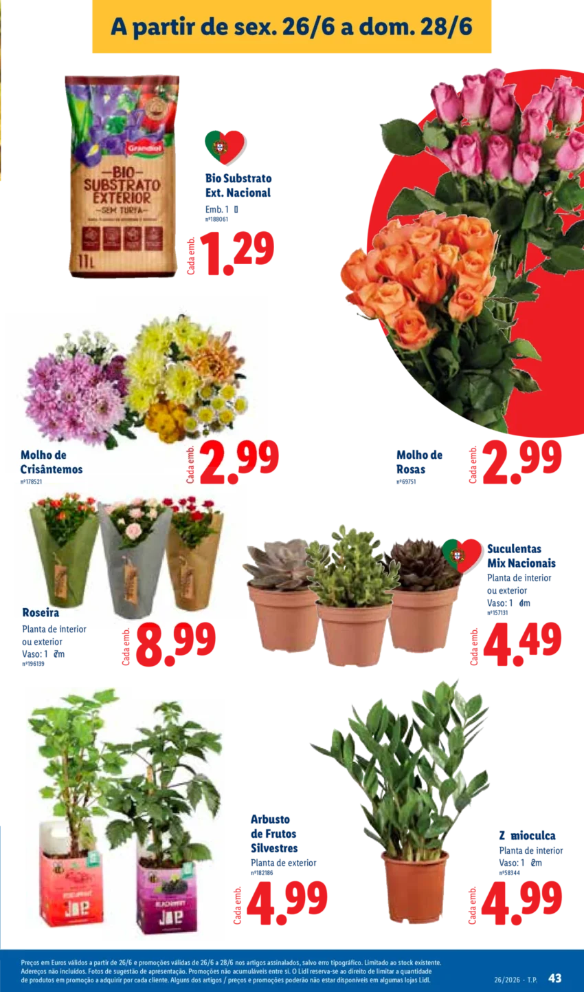 Página 43 do Antevisão Folheto LiDL Promoções