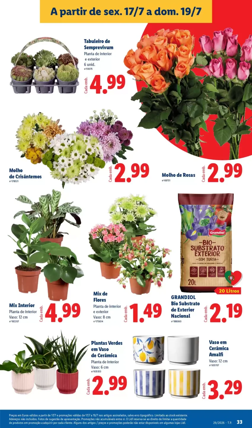 Página 31 do Antevisão Folheto LiDL Promoções