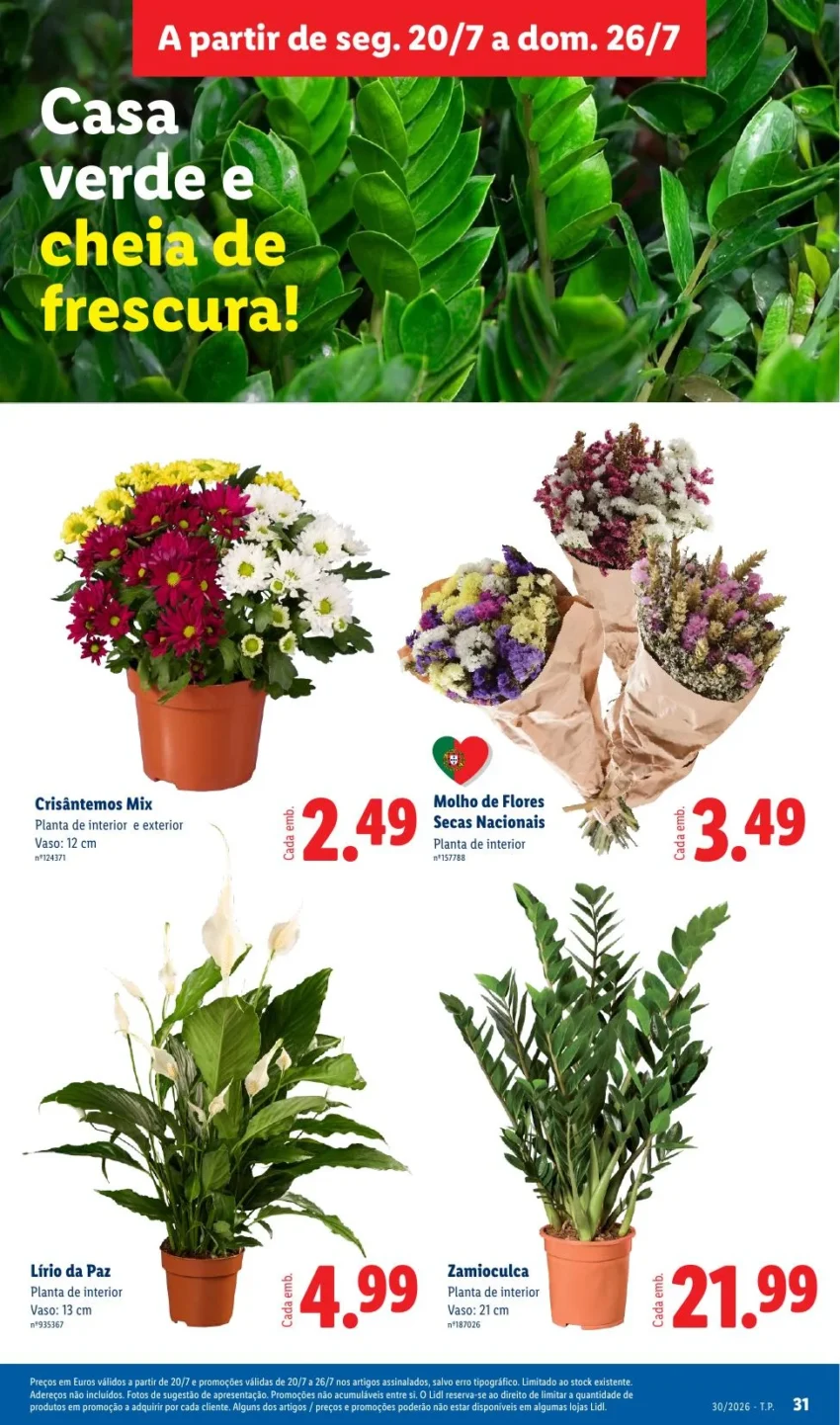 Página 31 do Antevisão Folheto LiDL Promoções