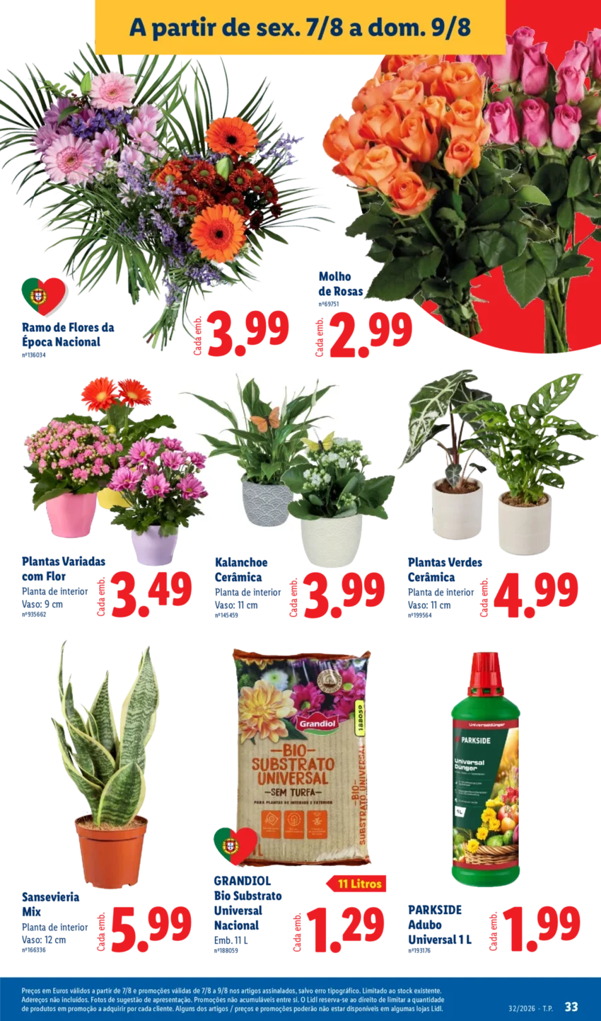 Página 33 do Antevisão Folheto LiDL Promoções