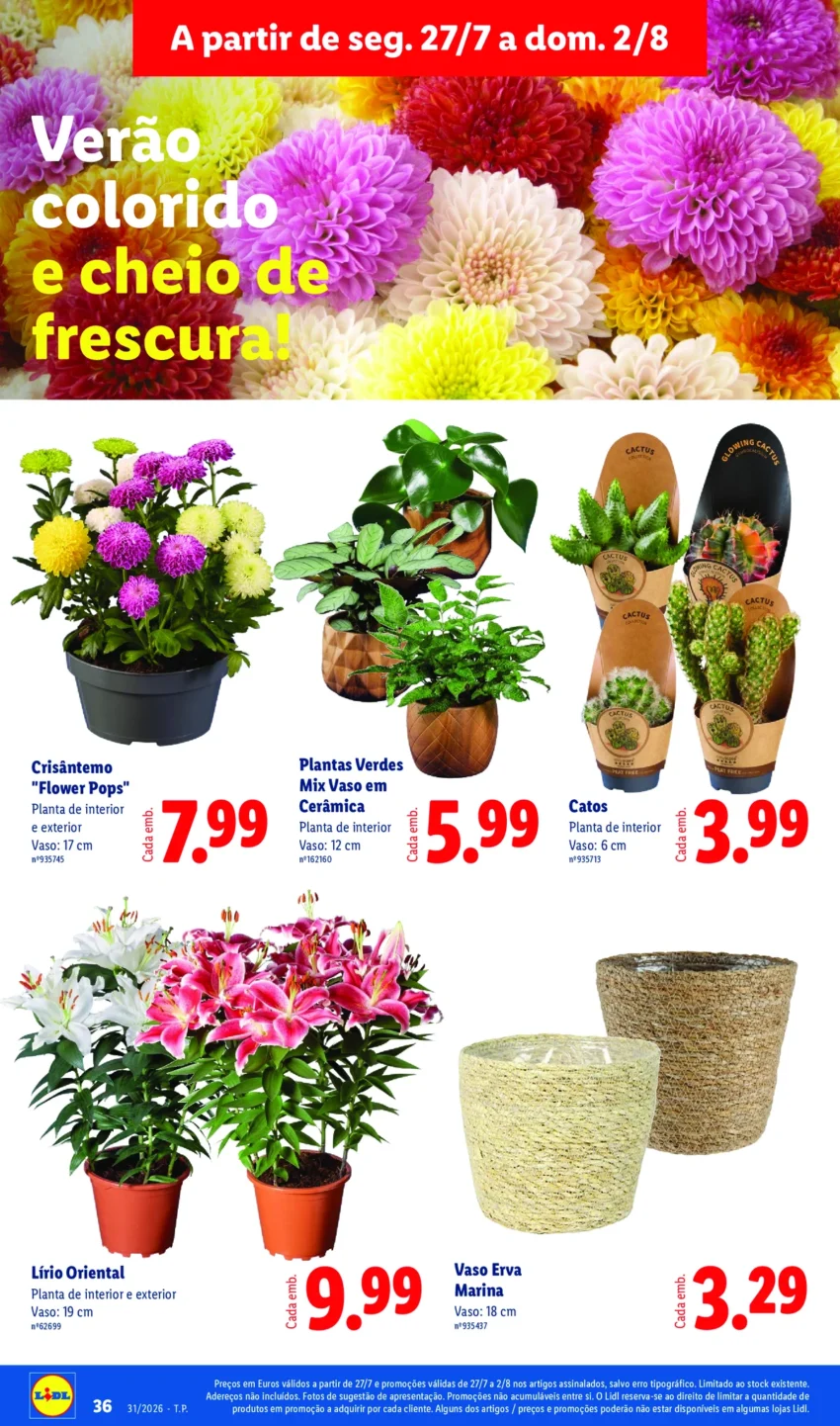 Página 36 do Antevisão Folheto LiDL Promoções