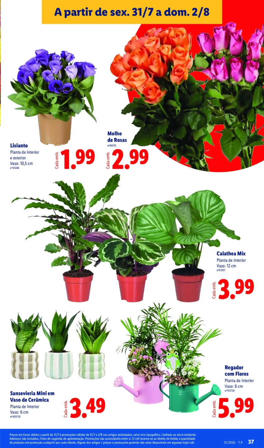 Página 37 do Antevisão Folheto LiDL Promoções