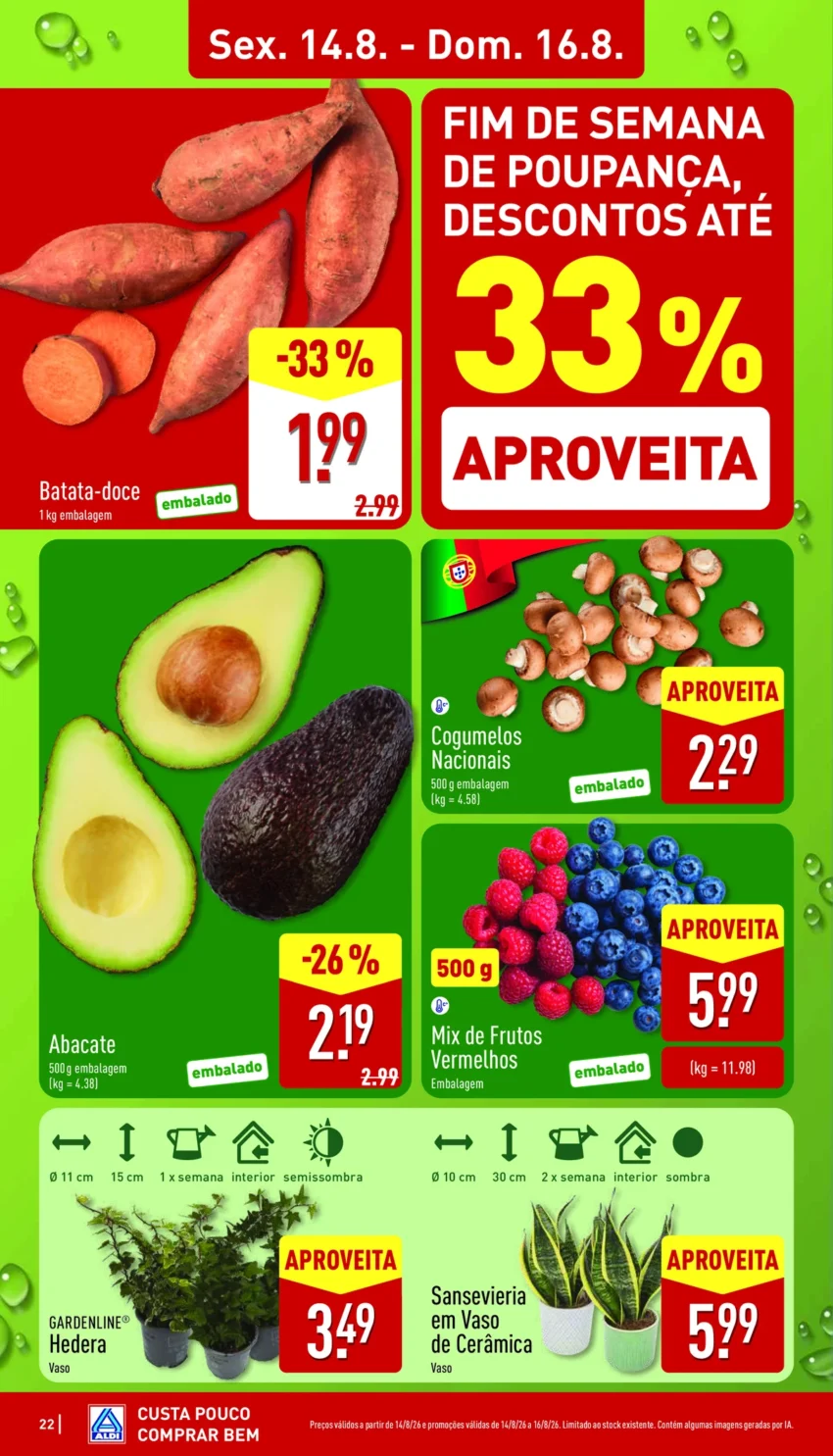 Página 22 do Antevisão Folheto ALDI