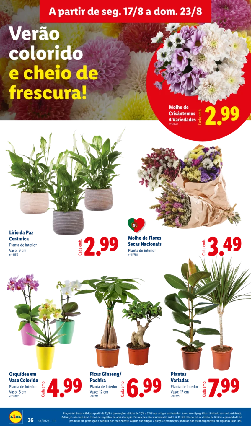 Página 36 do Antevisão Folheto LiDL Promoções