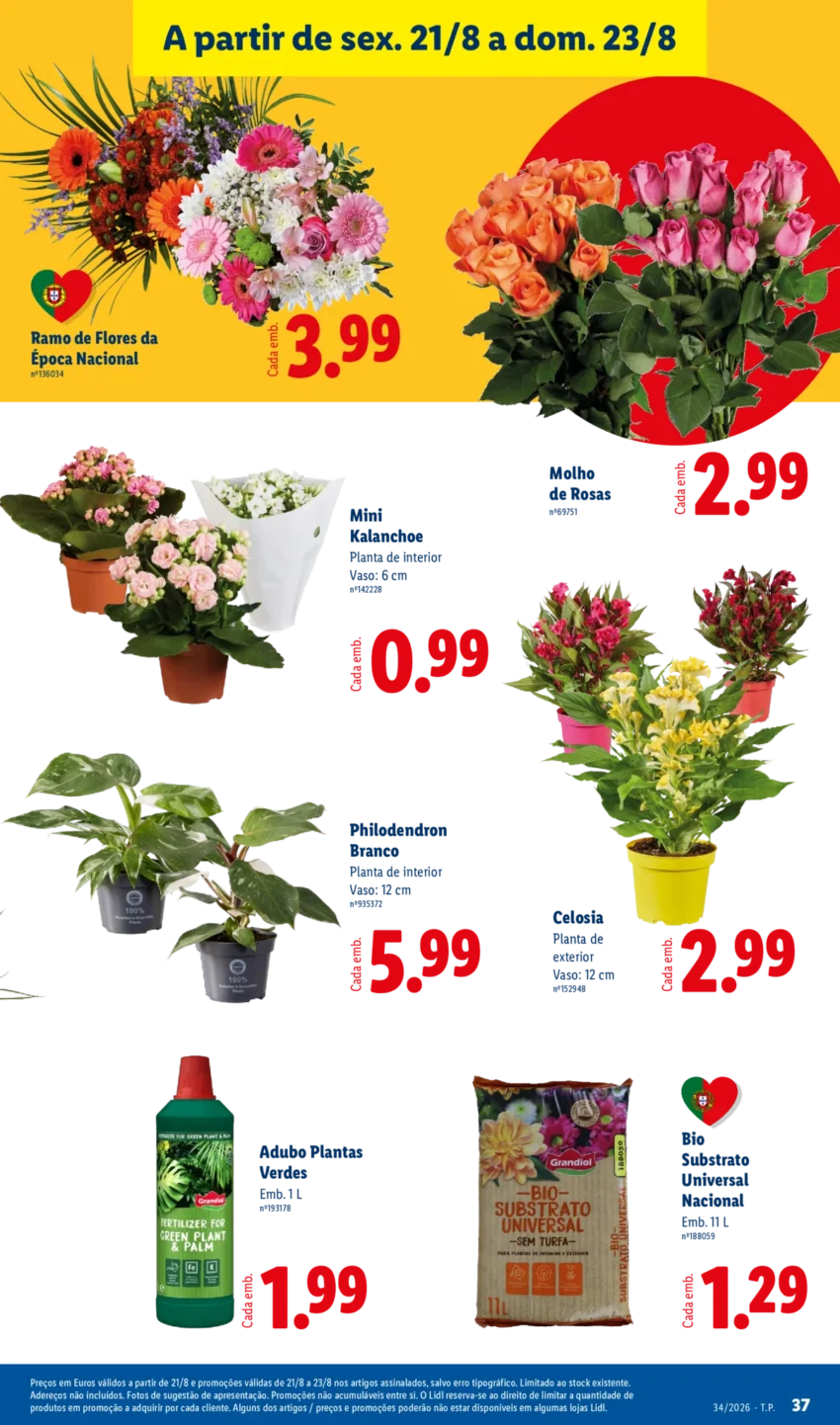 Página 37 do Antevisão Folheto LiDL Promoções