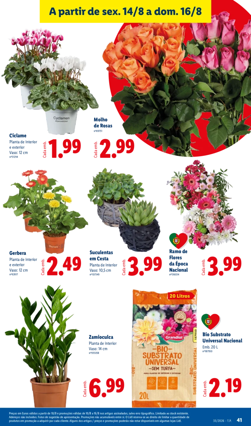 Página 41 do Antevisão Folheto LiDL Promoções