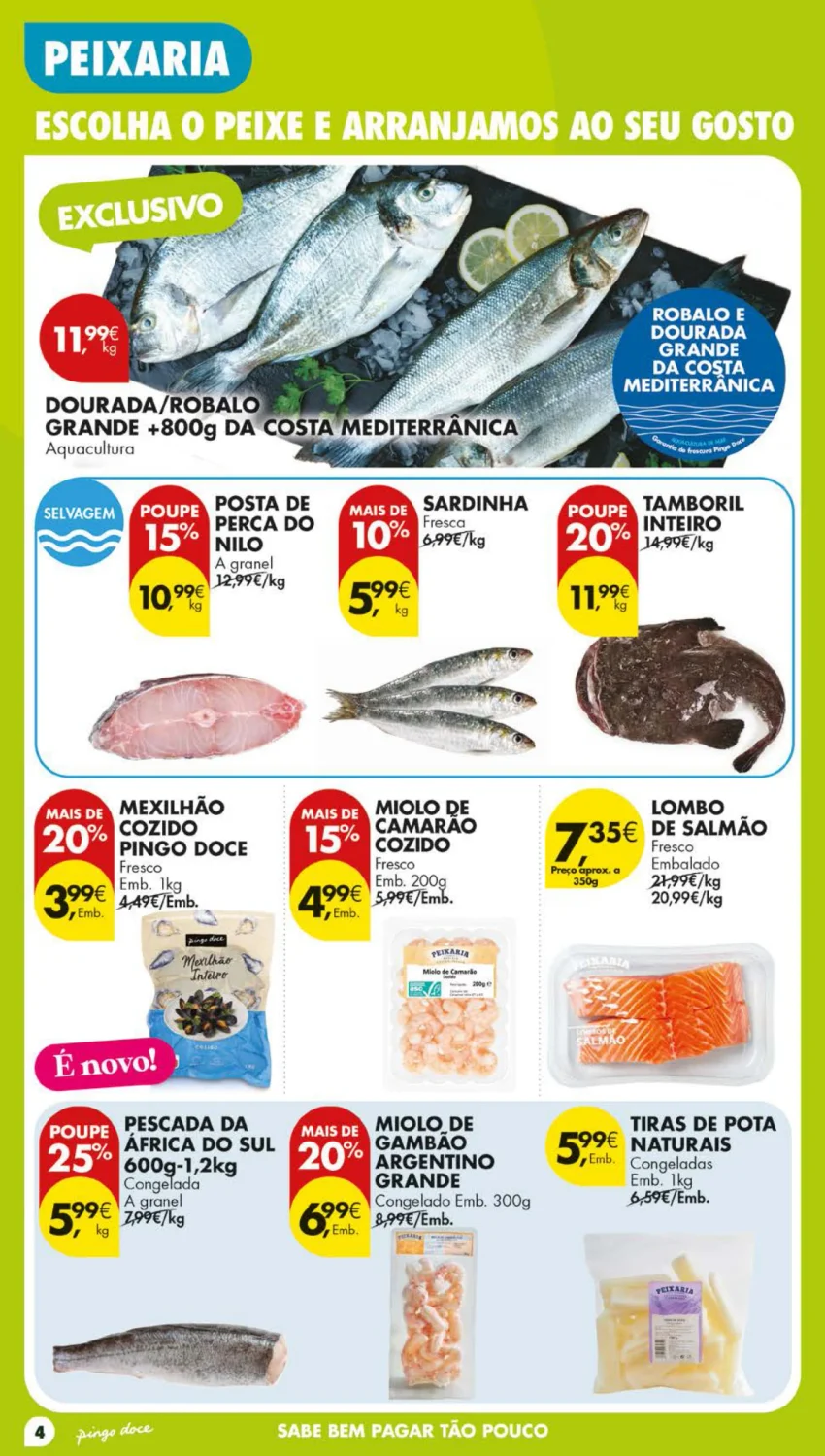 Página 4 do Page