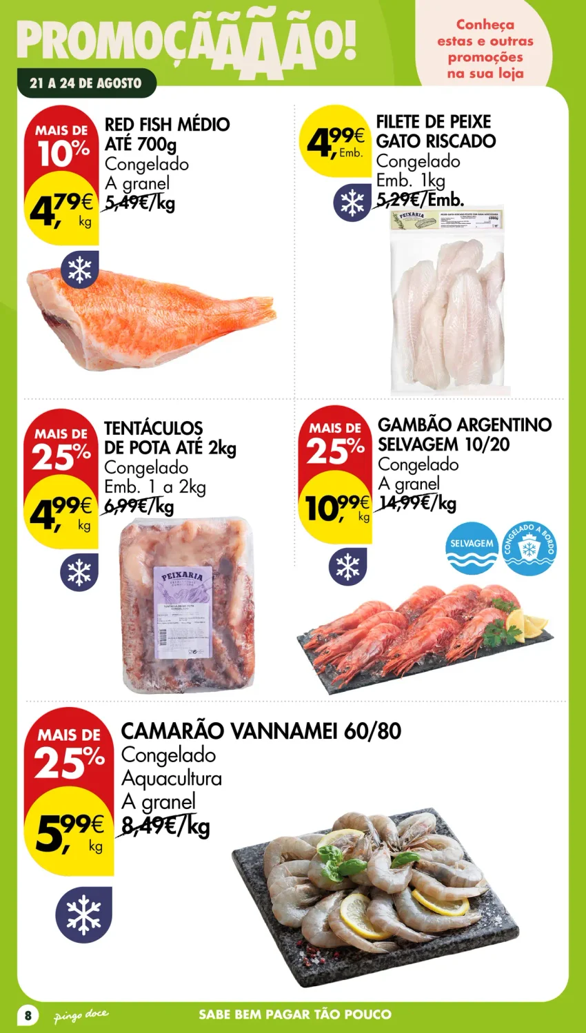 Página 8 do Page
