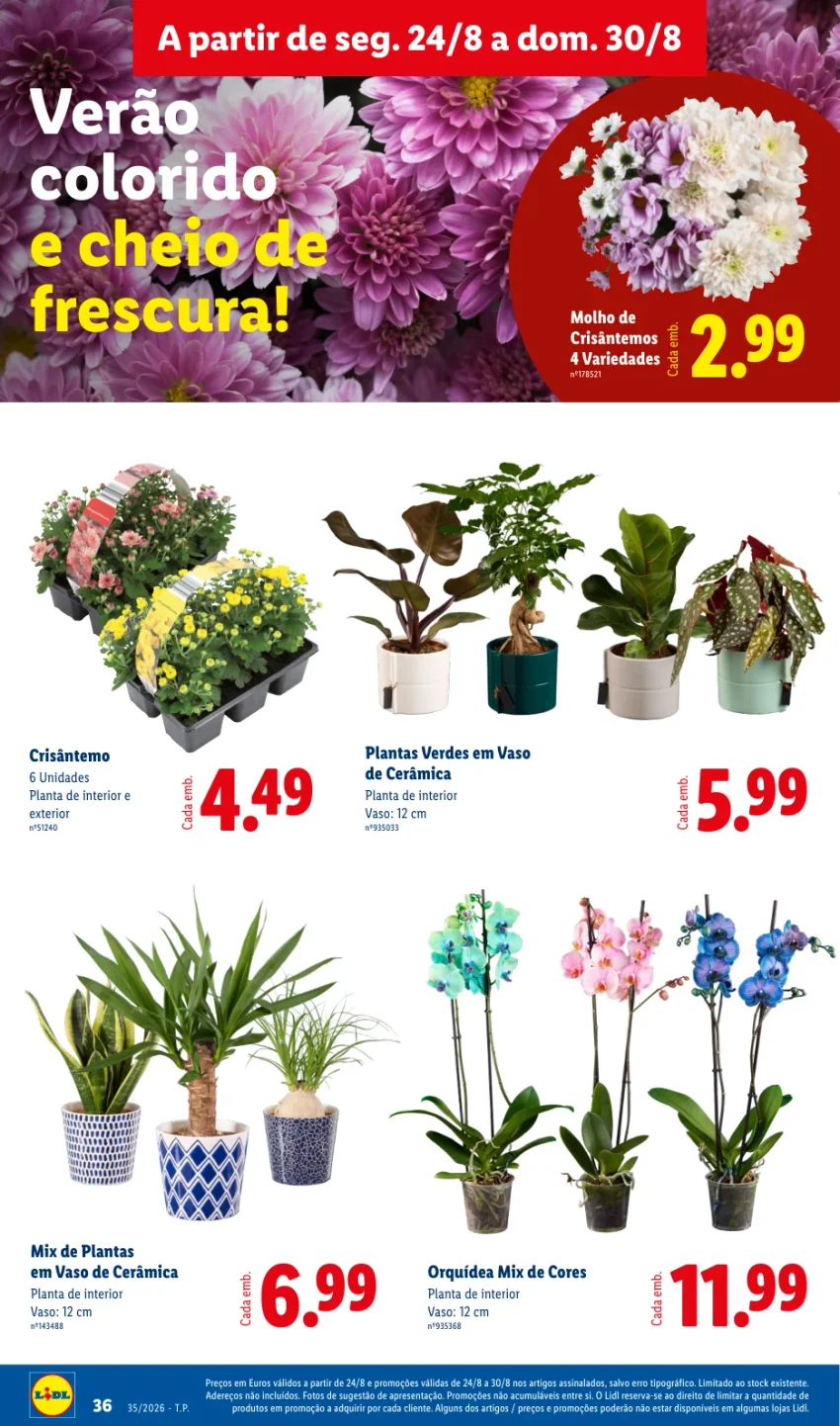 Página 36 do Page