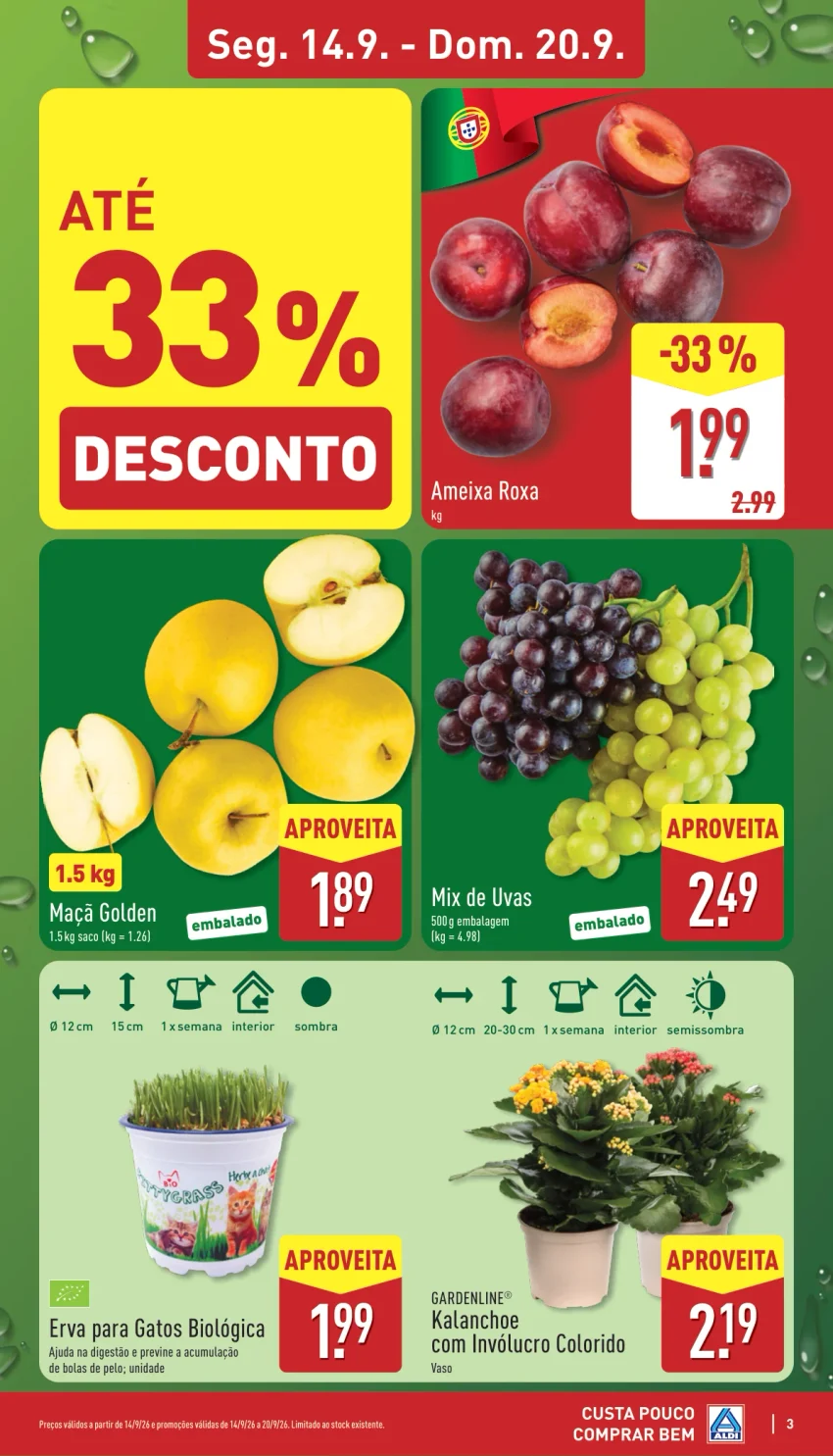 Página 3 do Folheto ALDI