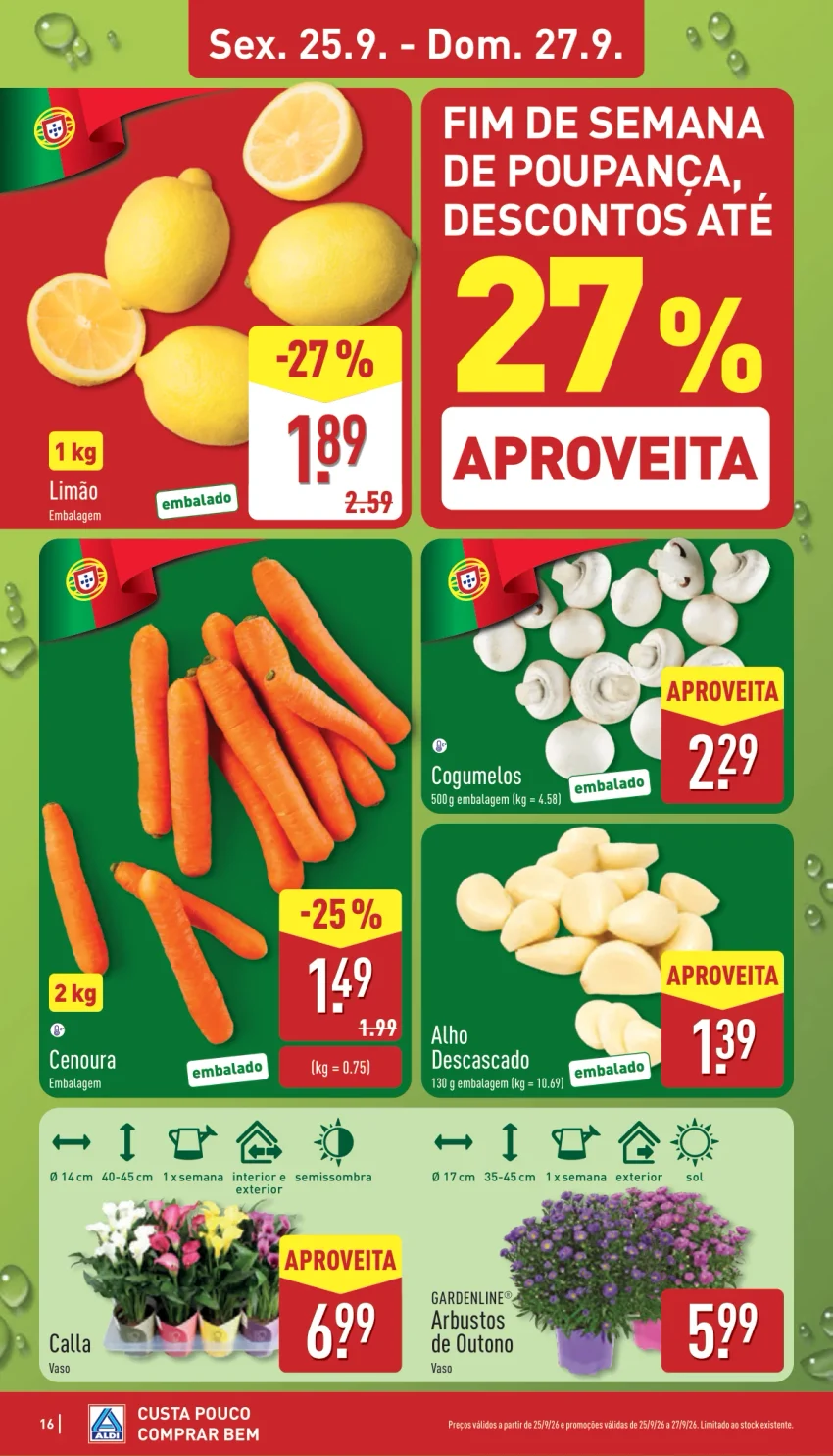 Página 16 do Folheto ALDI
