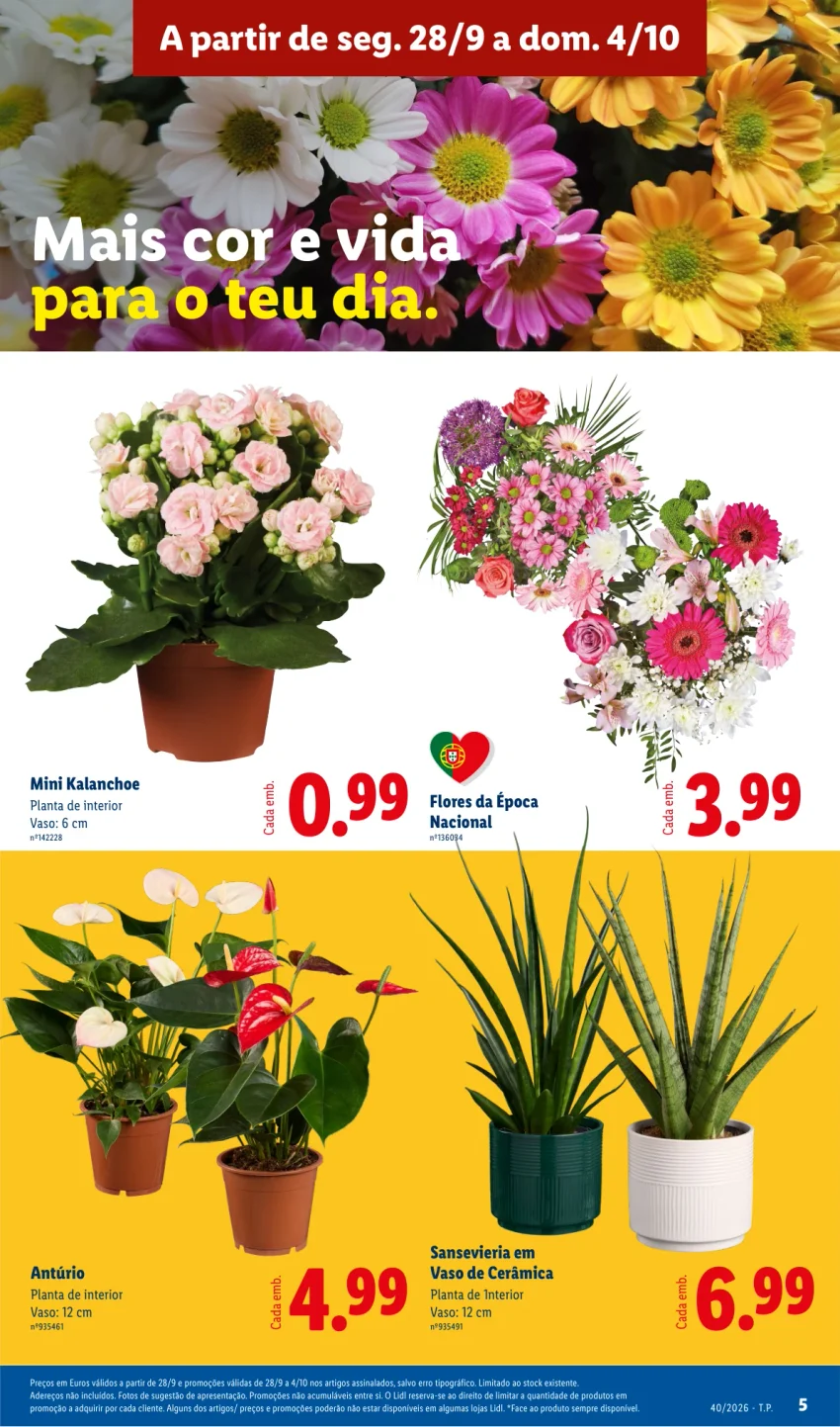 Página 5 do Folheto LiDL Promoções