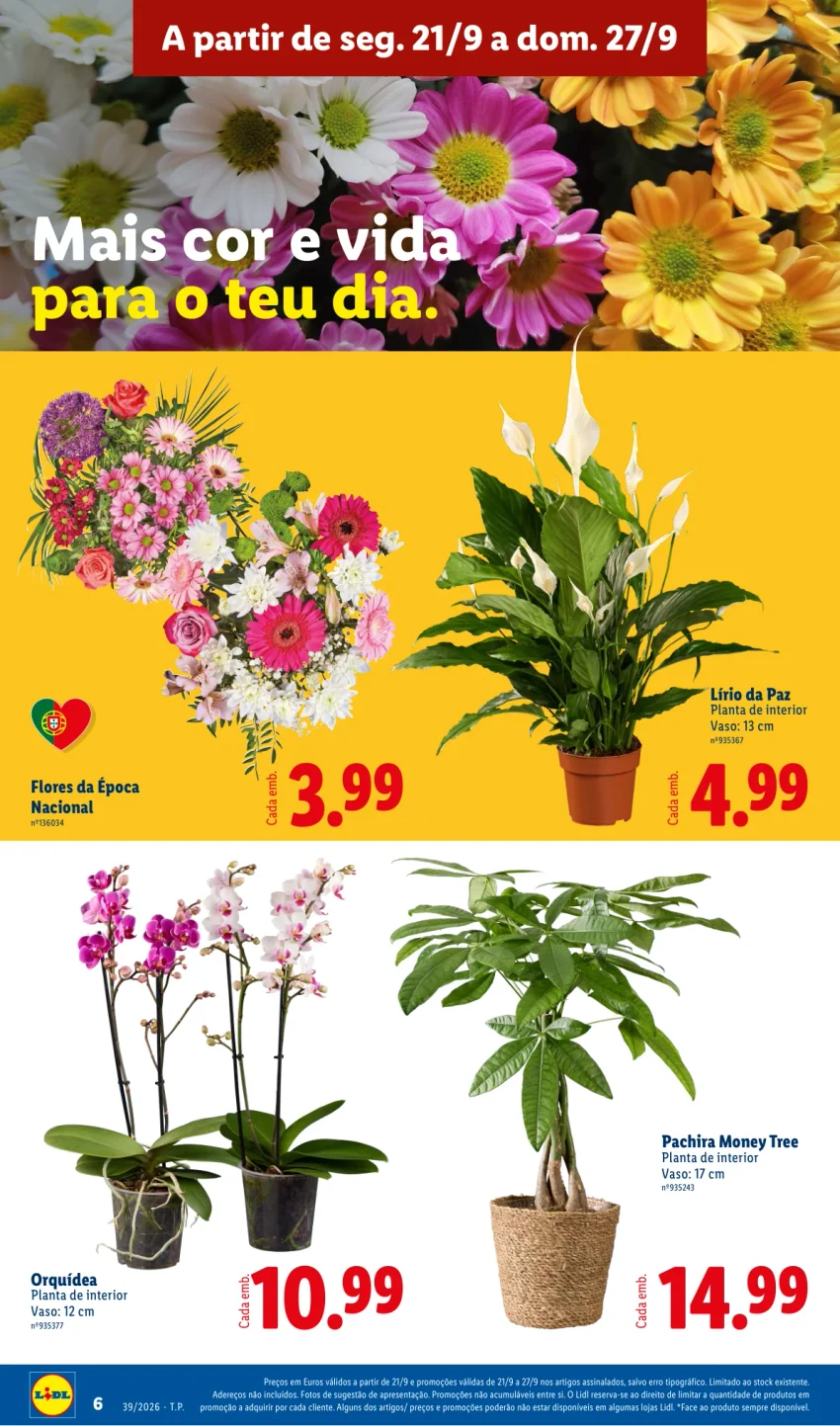 Página 8 do Folheto LiDL Promoções