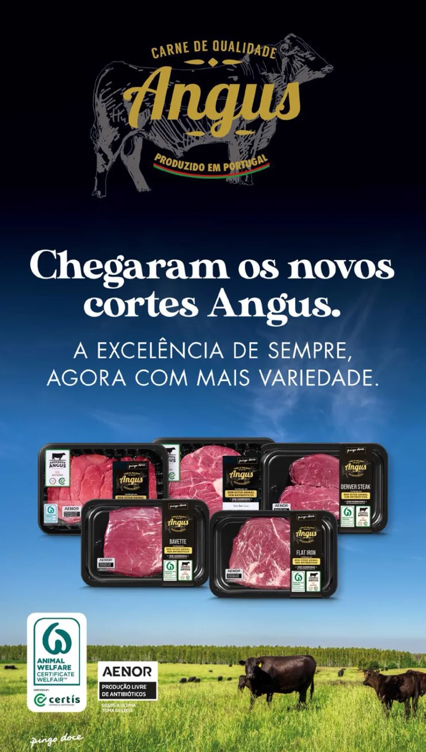 Página 8 do Folheto Pingo Doce