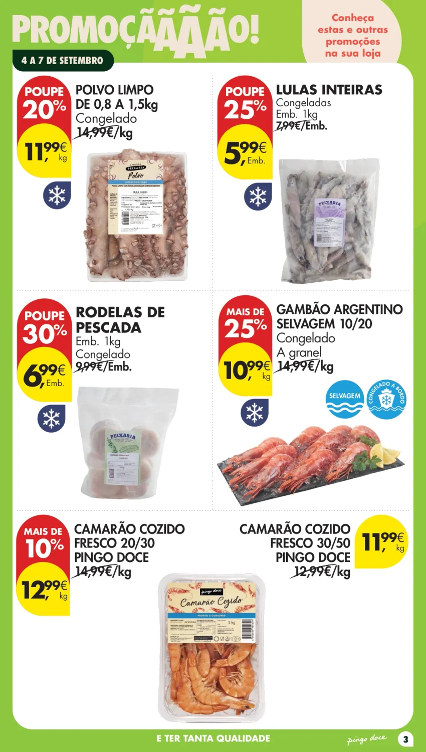 Página 3 do Page