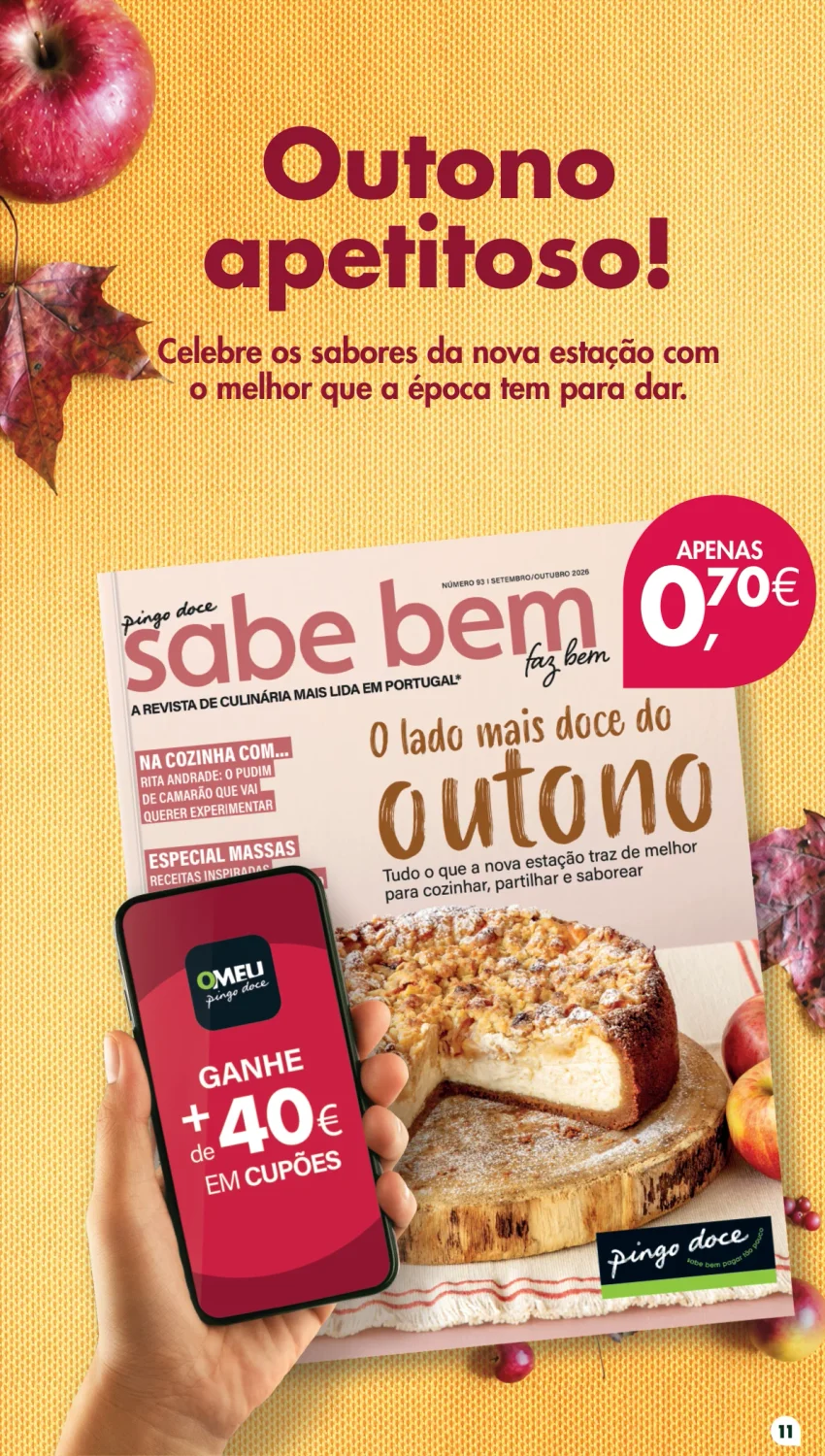Página 11 do Page