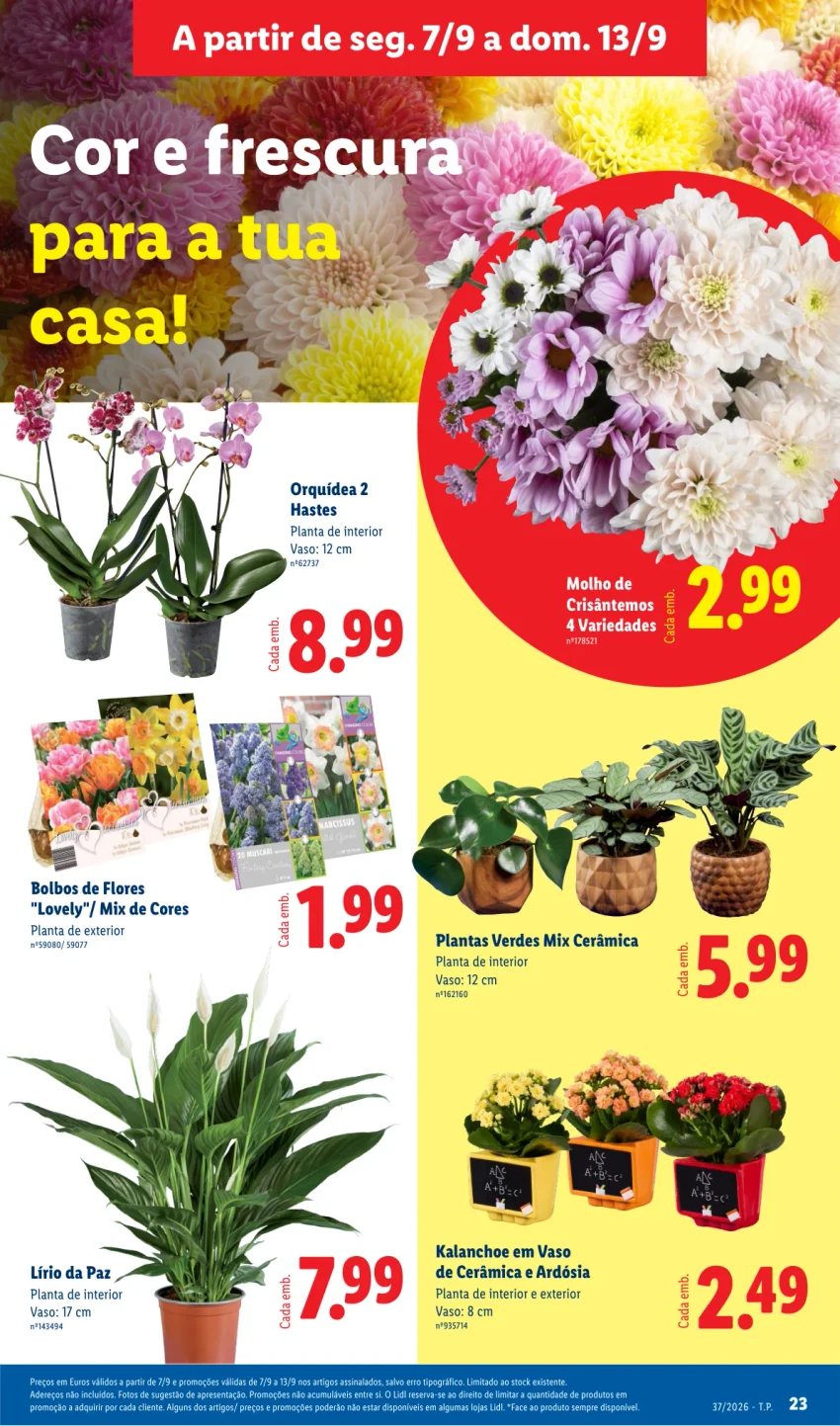 Página 25 do Page