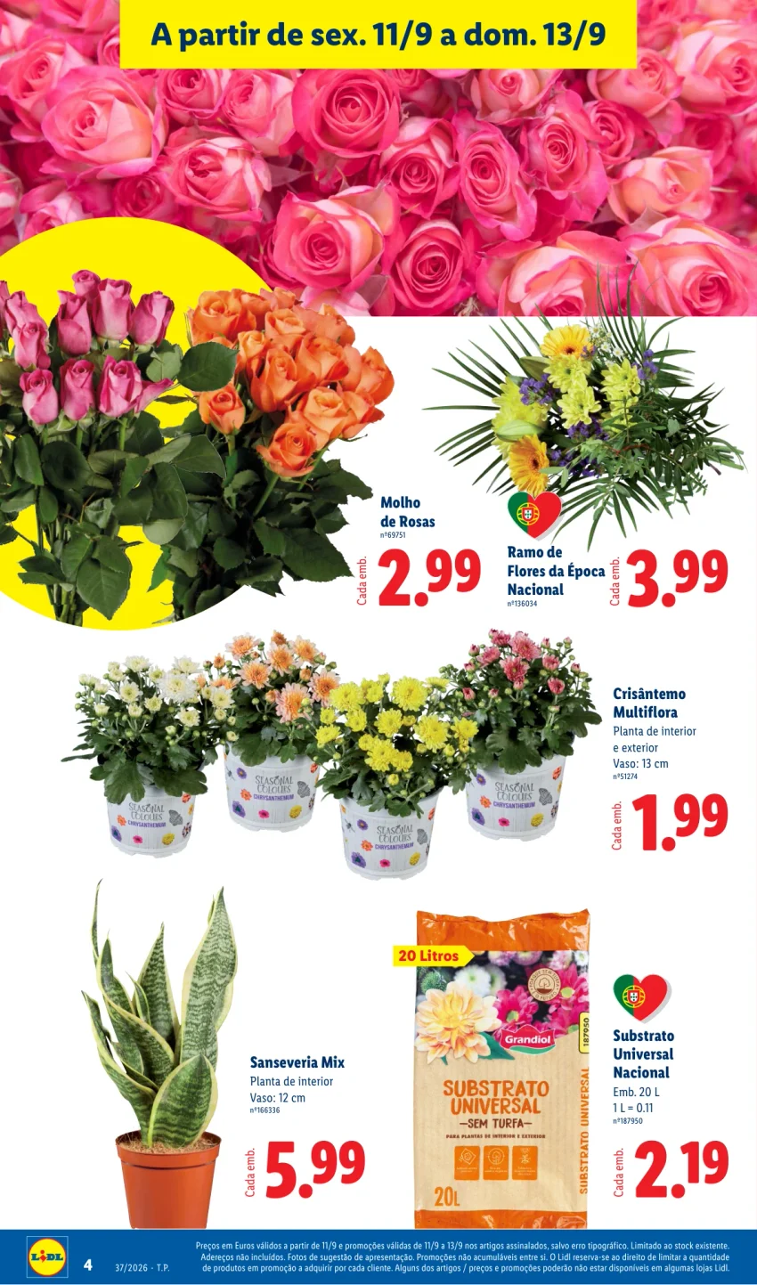 Página 4 do Page Fds