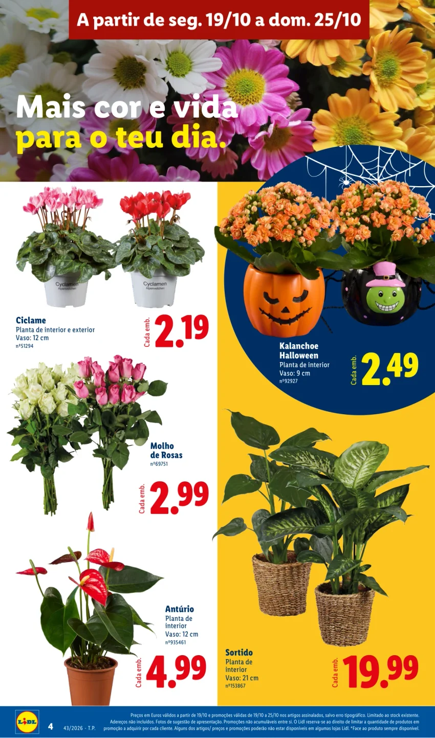 Página 4 do Folheto LiDL Promoções