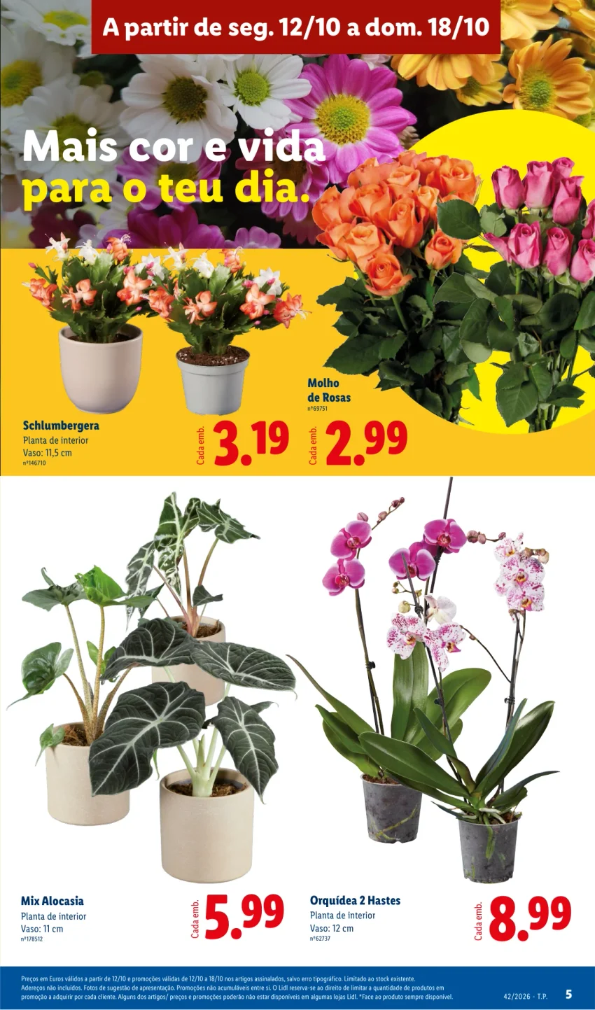 Página 5 do Folheto LiDL Promoções