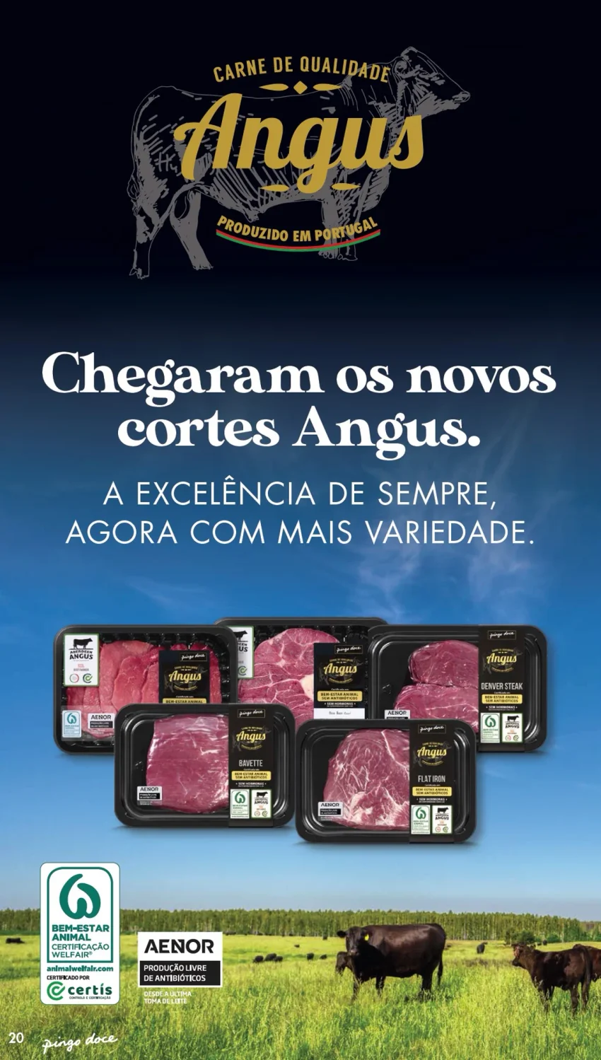 Página 8 do Folheto Pingo Doce